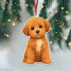 Custom Dog Cat Cartoon Photo Decor Acrylic Ornament LM32 893807