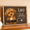 Custom Dog Portrait Photo Memorial 2-Layers Wooden Collar Frame Sympathy Gift LM32 893785