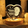 Custom Photo Dog Memorial Engraved Crystal Photo With Light TH10 898177