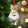 Custom Photo Cool Dog Cat Acrylic Ornament Gift For Dog Cat Lovers HA75 897146