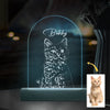 GeckoCustom Custom Cat Photo Pencil Drawing With Name For Cat Lovers Acrylic Plaque LED Night Light LM32 893031 Acrylic / 7.9"x4.5"
