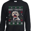 GeckoCustom Custom Photo Ugly Christmas Ya Filthy Animal Dog Cat Sweatshirt, Dog Lover Sweater Christmas For Kids Youth Crewneck Sweatshirt / KSW-Red / YXS