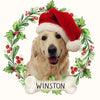 GeckoCustom Customize Photo Dog Ceramic Ornament For Christmas DA199 889847