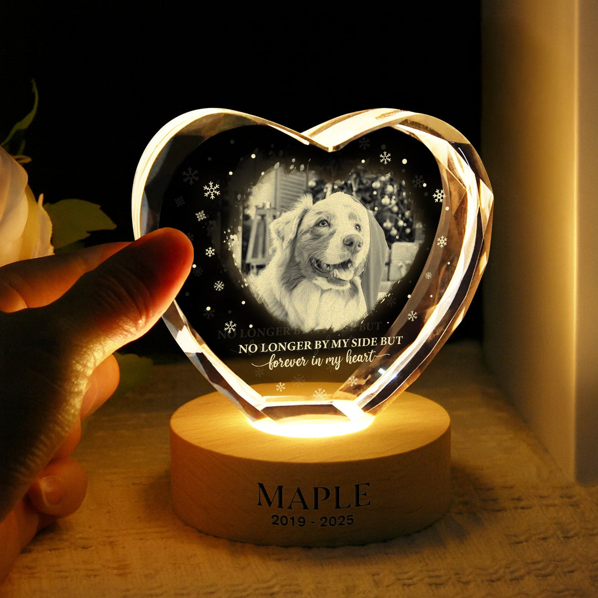 Custom Photo Forever Loved Memorial Dog Cat Engraved Crystal Photo With Light HA75 898214