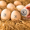 Personalized Chicken Silhouette Egg Stamp Gift for Family Farmer Breeder CH07 896656