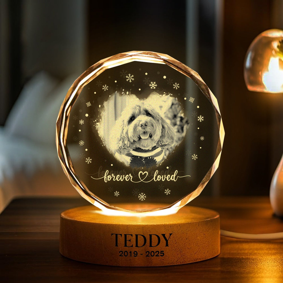 Custom Photo Forever Loved Memorial Dog Cat Engraved Crystal Photo With Light HA75 898214