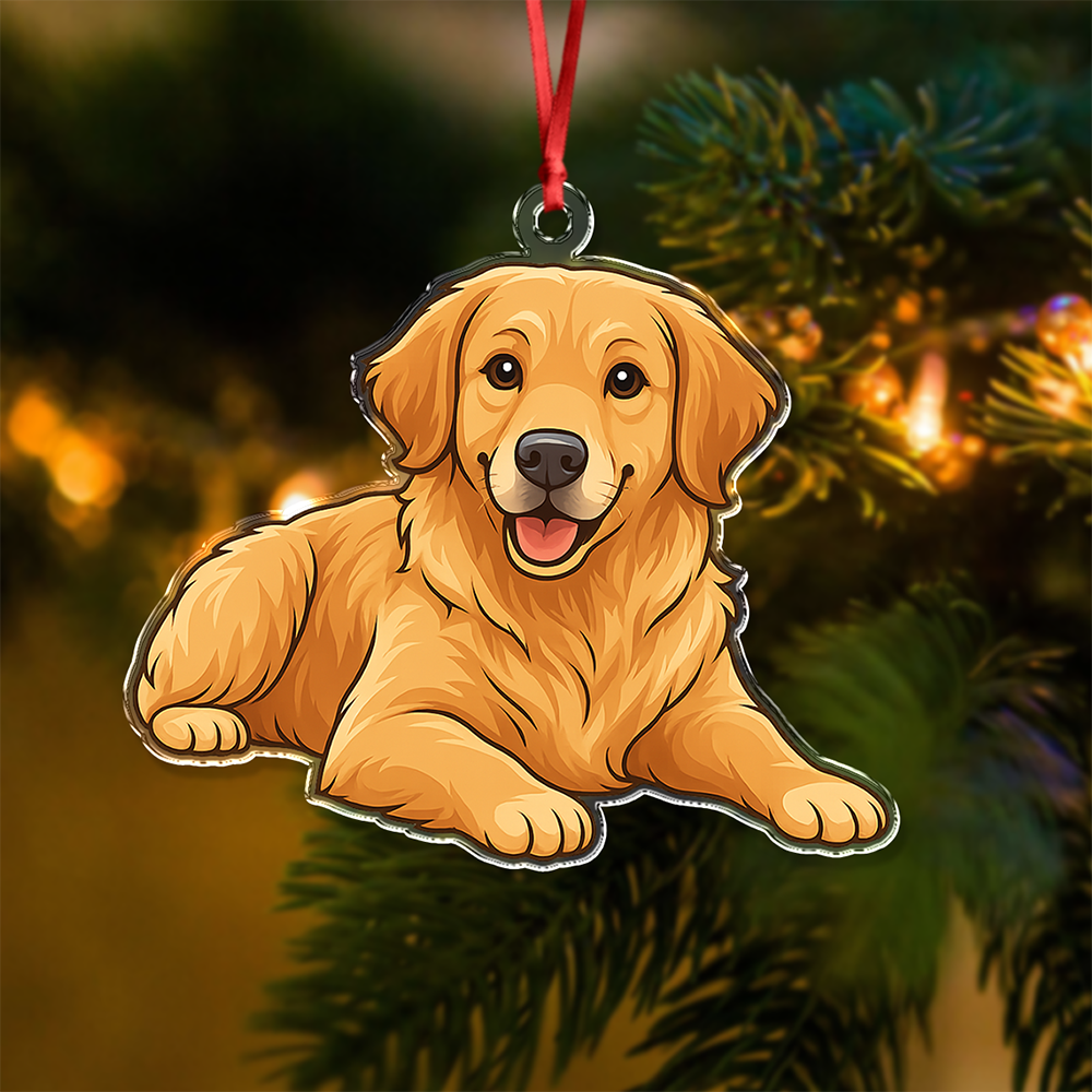 Custom Dog Cat Cartoon Photo Decor Acrylic Ornament LM32 893807