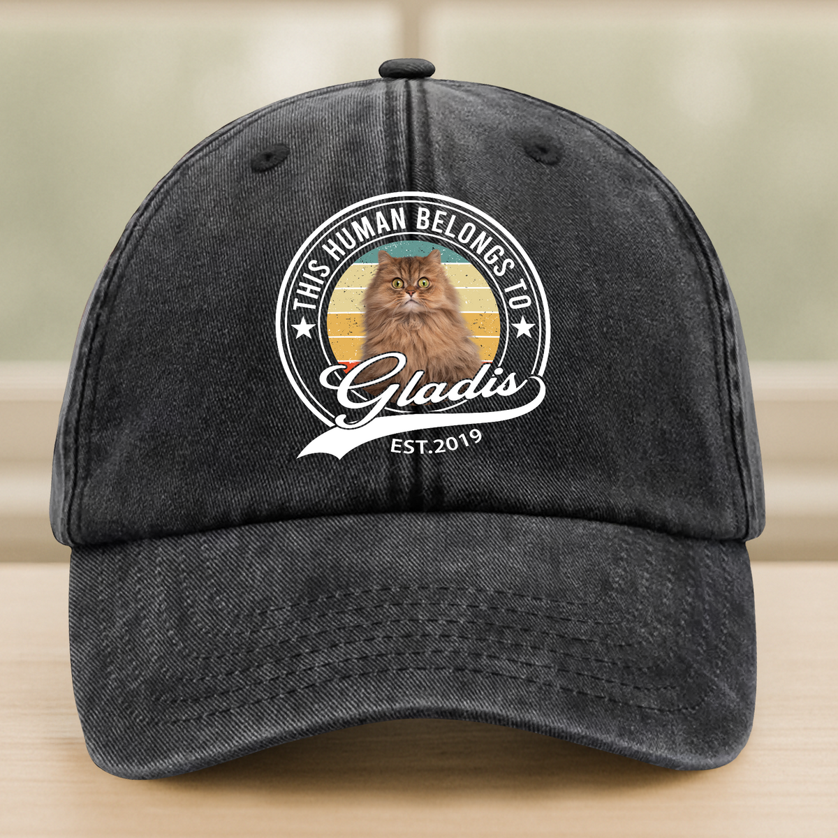 Custom Photo Human Belongs To Cat Washed Denim Baseball Cap HA75 897230