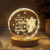 Custom Photo Dog Memorial Engraved Crystal Photo With Light TH10 898177