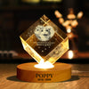 Custom Photo Forever Loved Memorial Dog Cat Engraved Crystal Photo With Light HA75 898214