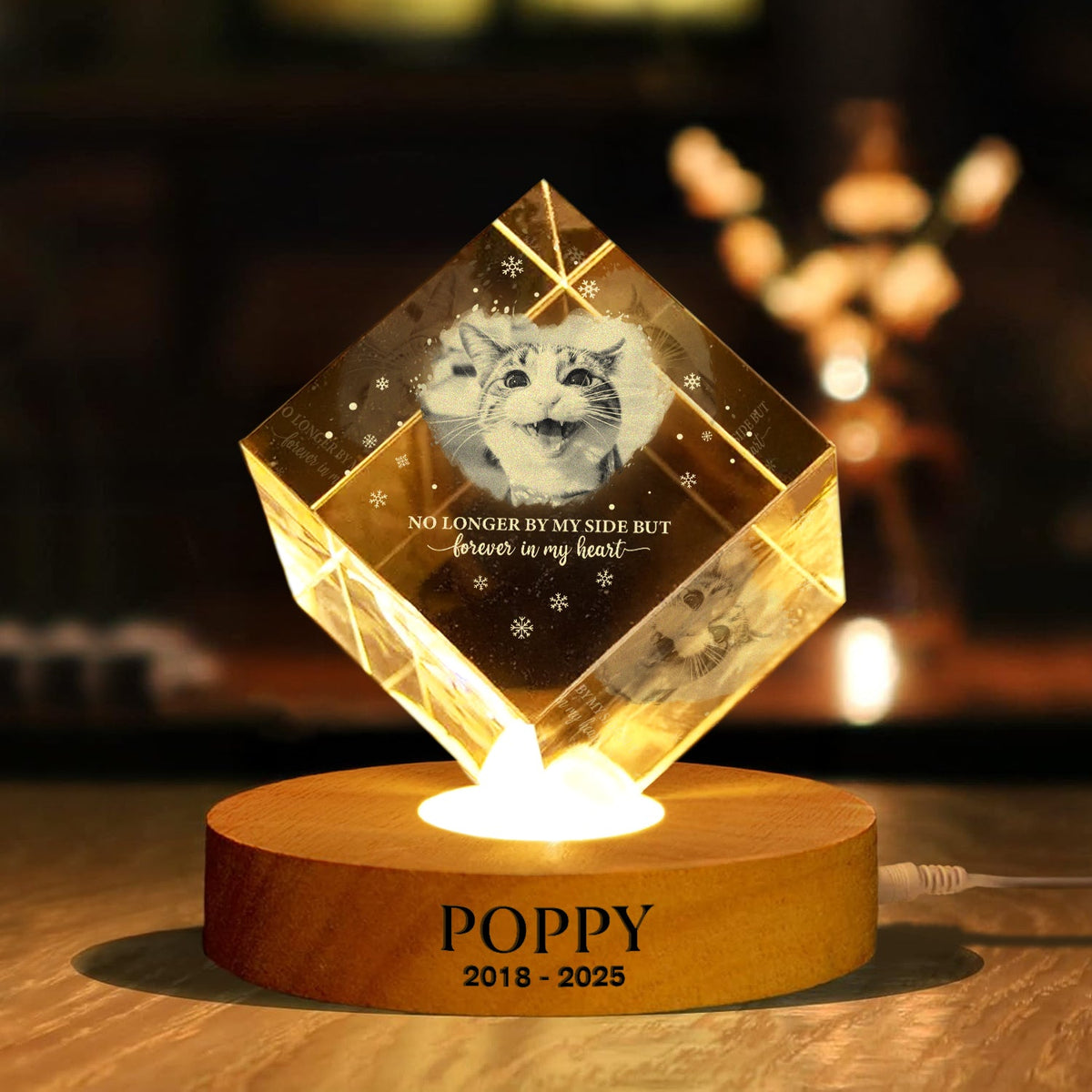 Custom Photo Forever Loved Memorial Dog Cat Engraved Crystal Photo With Light HA75 898214