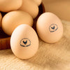 Personalized Hen Silhouette Egg Stamp with Name Gift for Family Farmer Breeder CH07 896560