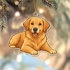 Custom Dog Cat Cartoon Photo Decor Acrylic Ornament LM32 893807