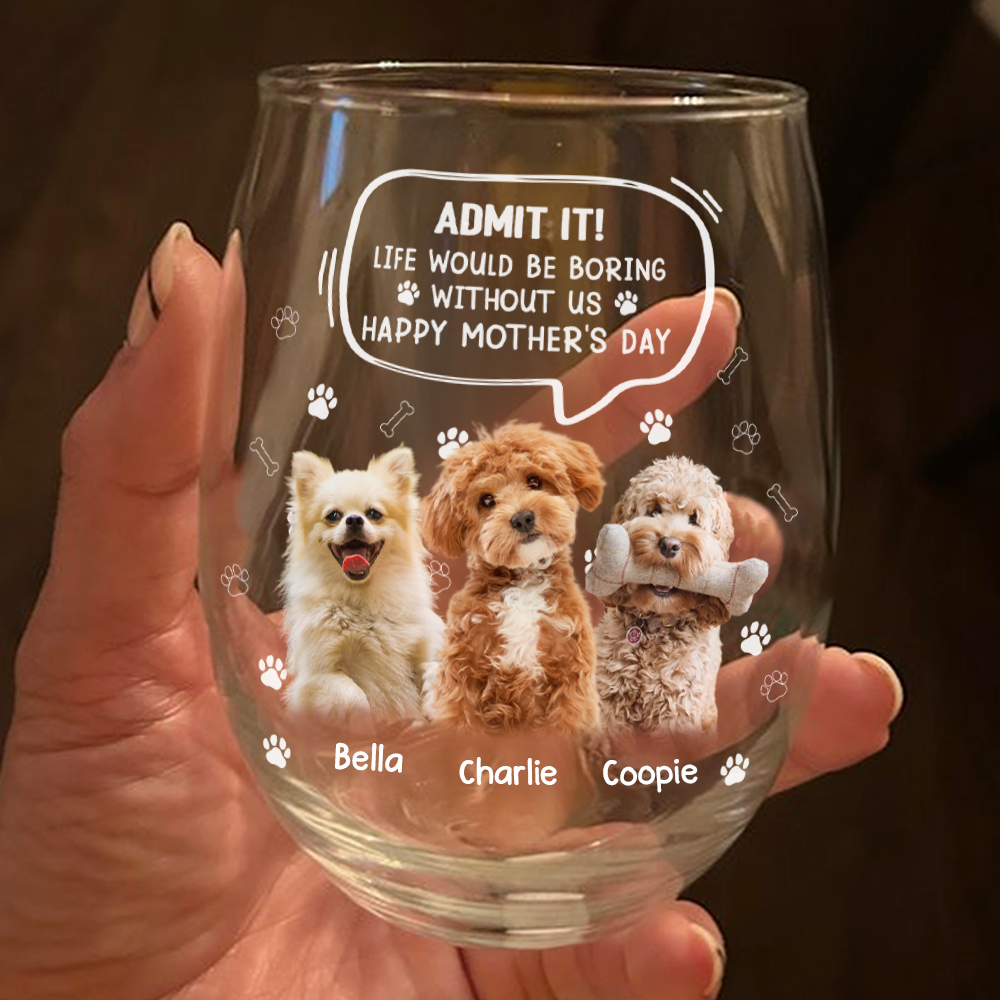 Custom Photo Life Would Be Boring Without Me Dog Cat Wine Glass HA75 892028