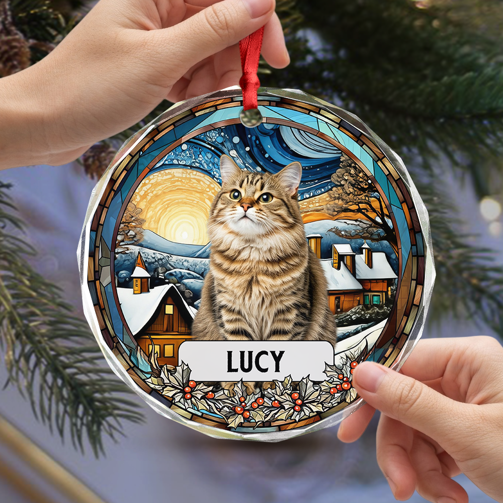 Custom Photo and Name Christmas Cat Circle Glass Ornament HA75 897244