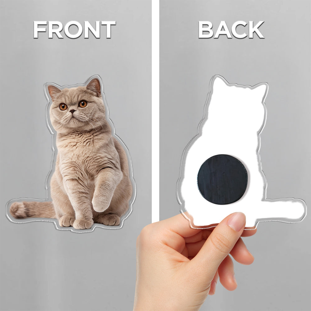 Custom Photo Cat Pet Personalized Acrylic Fridge Magnet For Cat Lovers HA75 897908