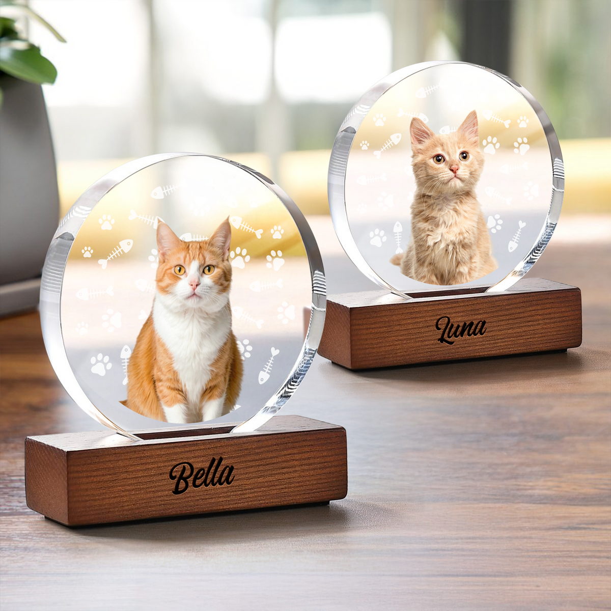 Custom Cat Photo With Bone For Cat Lover Round Acrylic Frame Block TH10 894067
