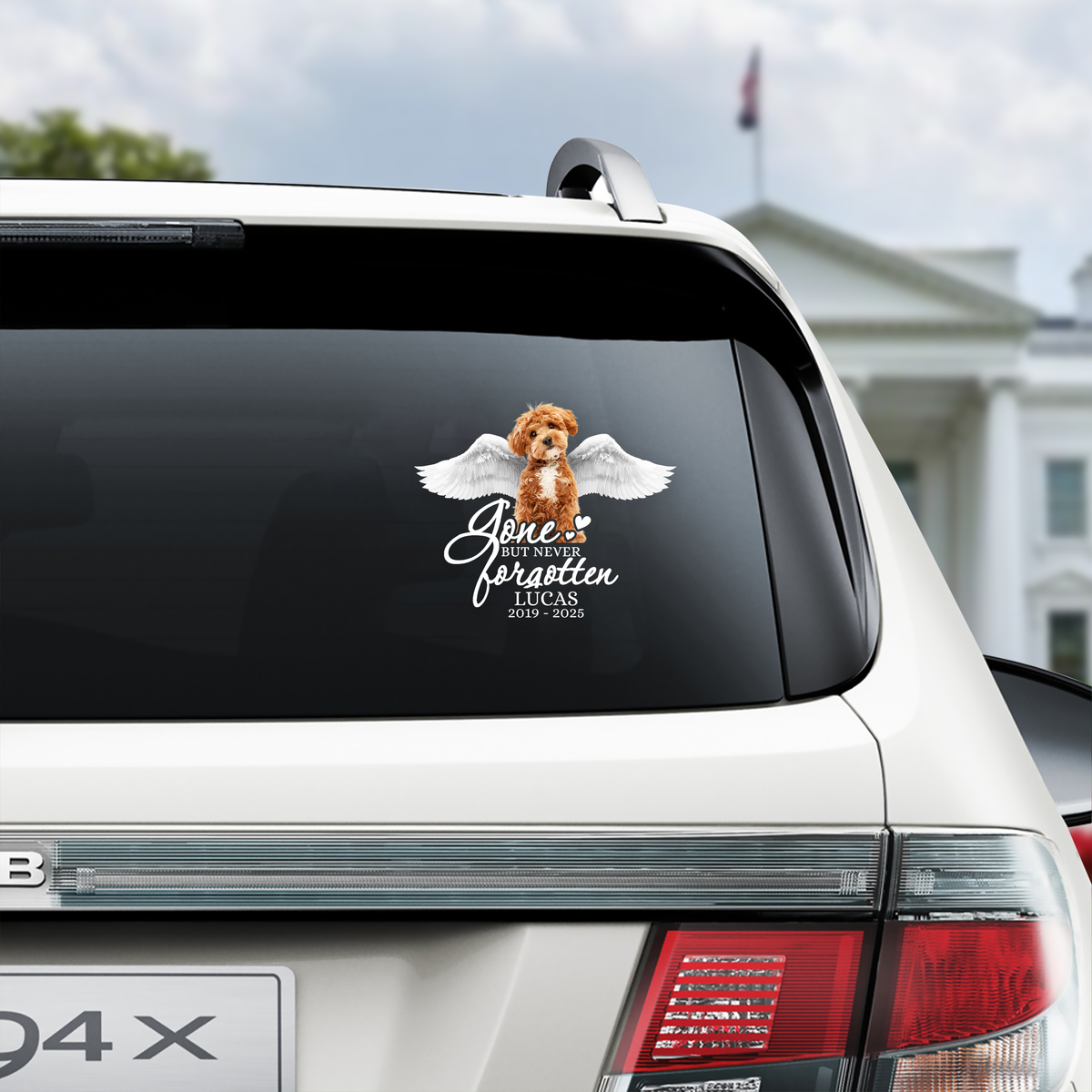 Custom Photo Pet Within Angel Wings Memorial Dog Cat  Car Window Decal Sticker HO82 901068
