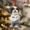 Custom Photo Cool Dog Cat Acrylic Ornament Gift For Dog Cat Lovers HA75 897146