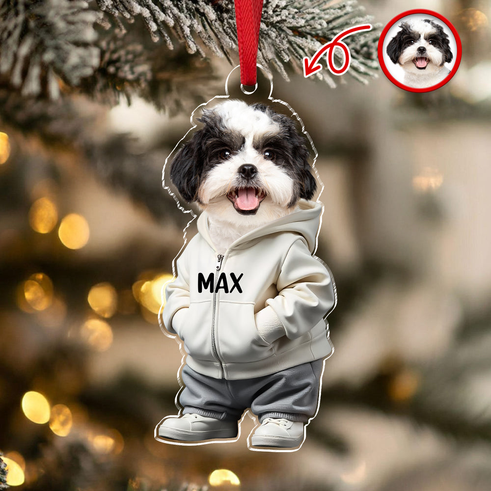 Custom Photo Cool Dog Cat Acrylic Ornament Gift For Dog Cat Lovers HA75 897146