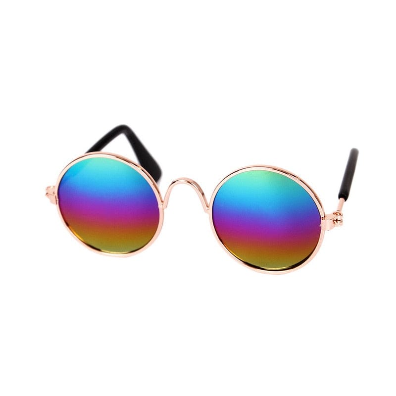 GeckoCustom Cool Funny The Kitten Sunglasses Colorful