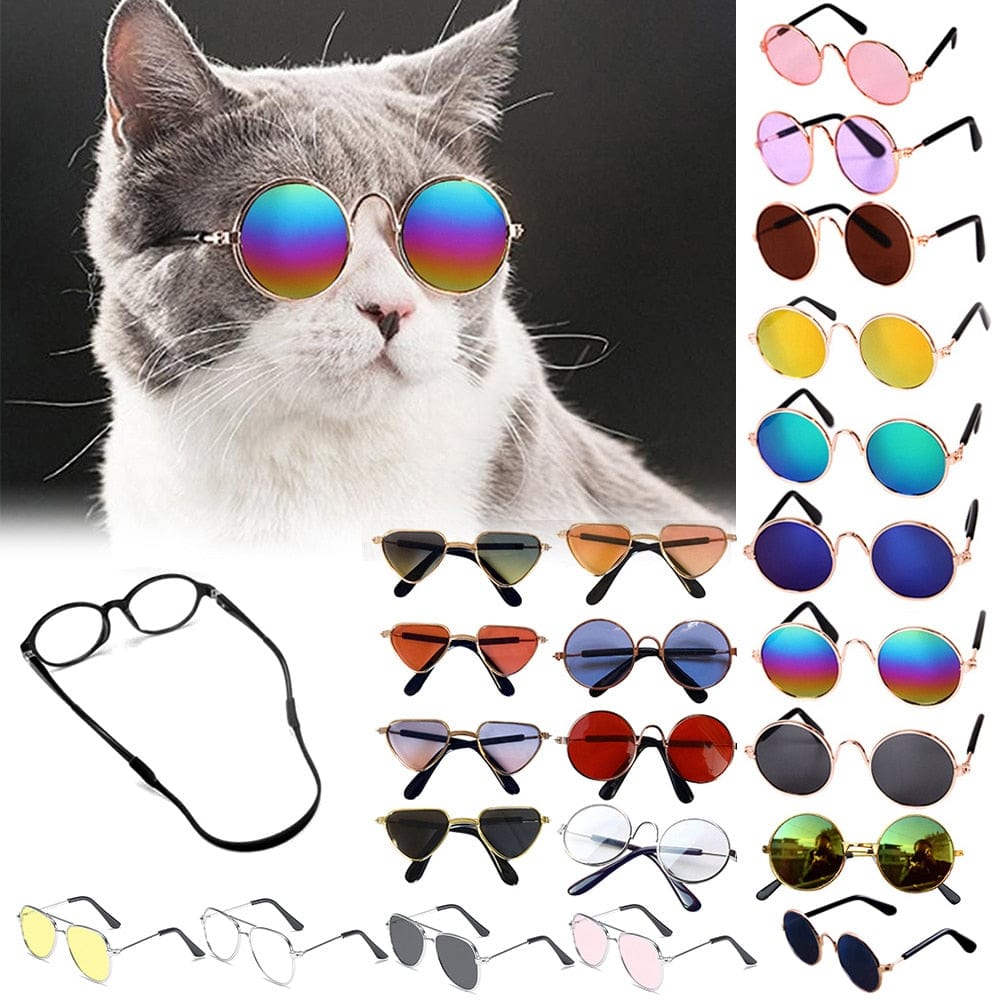 GeckoCustom Cool Funny The Kitten Sunglasses