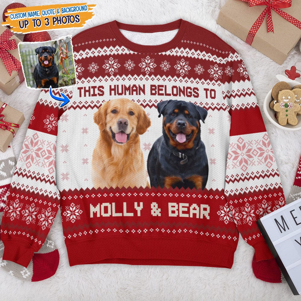 GeckoCustom Custom Photo Dog Cat Best Mom Dad AOP Sweatshirt T286 HN590