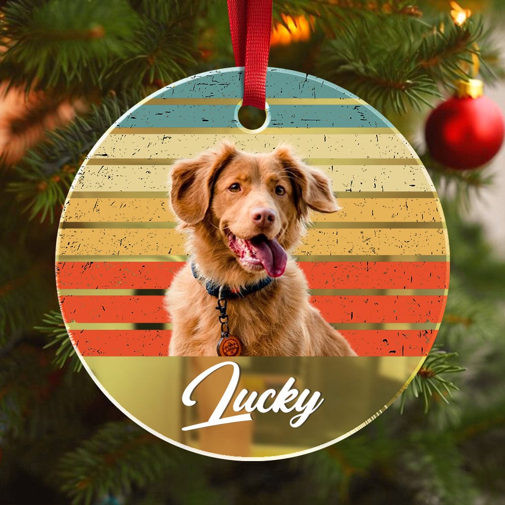 GeckoCustom Custom Photo Dog Cat Vintage Retro Mirrored Acrylic Ornament For Christmas HA75 891642