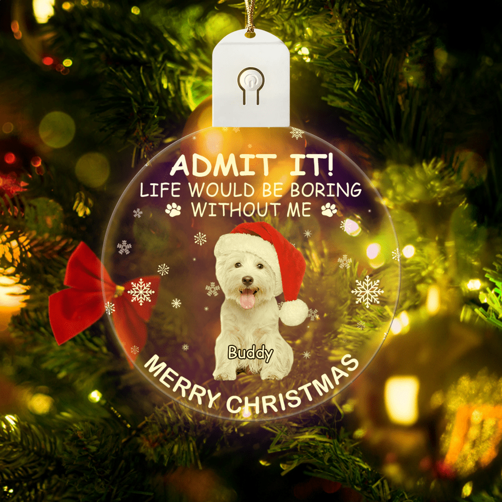 GeckoCustom Custom Photo Life Would Be Boring Without Me Dog Cat Circle Led Acrylic Ornament HO82 893218 3 inches