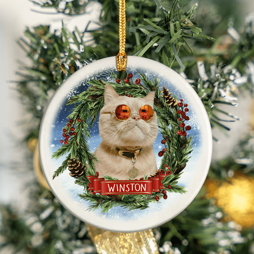 GeckoCustom Custom Photo Lovely Dogs Cats Christmas Ceramic Ornament TH10 891399