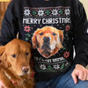 Sweatshirt (Favorite)