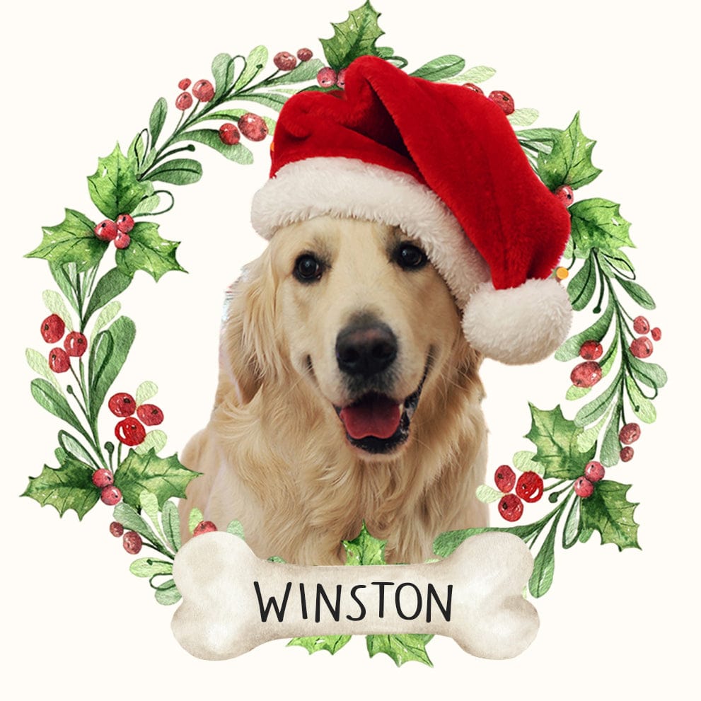 GeckoCustom Customize Photo Dog Ceramic Ornament For Christmas DA199 889847