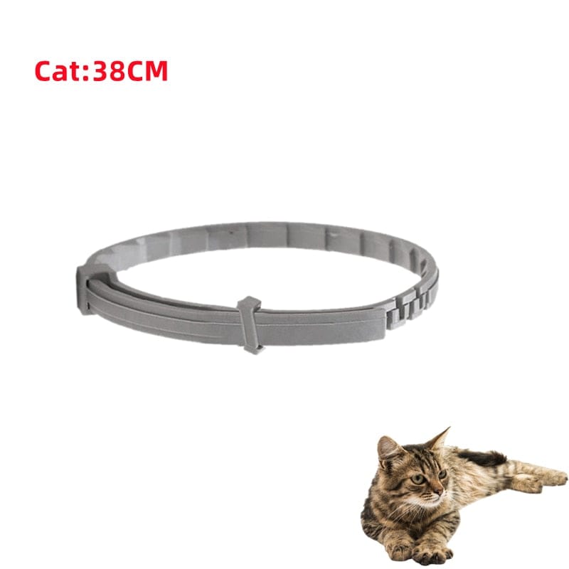 GeckoCustom Dog Anti Flea And Ticks Cats Collar Pet 8Month Protection Retractable Pet Collars For Puppy Cat Large Dogs Accessories Cat-38cm Opp / China