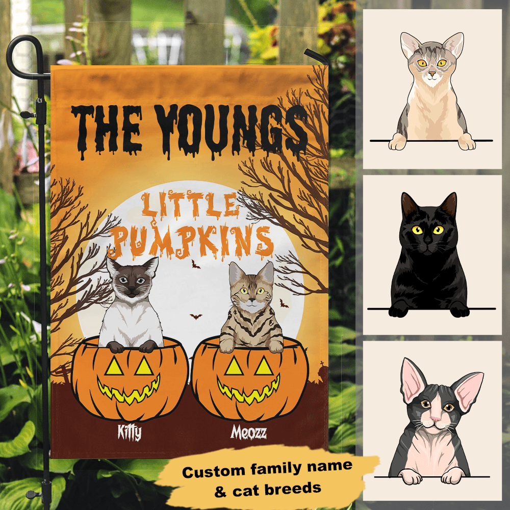 GeckoCustom Halloween Little Pumpkins Cat Garden Flag 12"x18"