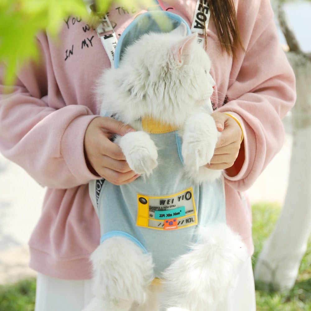 GeckoCustom HOOPET Carrier for Dogs Pet Dog Carrier Backpack Mesh Outdoor Travel Products Breathable Shoulder Handle Bags for Small Dog Cats Blue / S