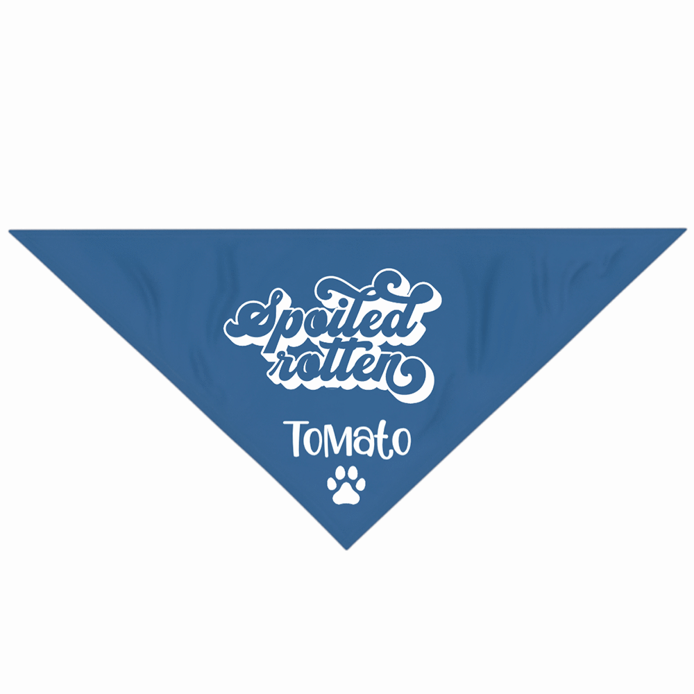 GeckoCustom Personalized Custom Dog Bandana, Handsome Devil, Sloopy Kisser Dog Bandana, Dog Lover Gift