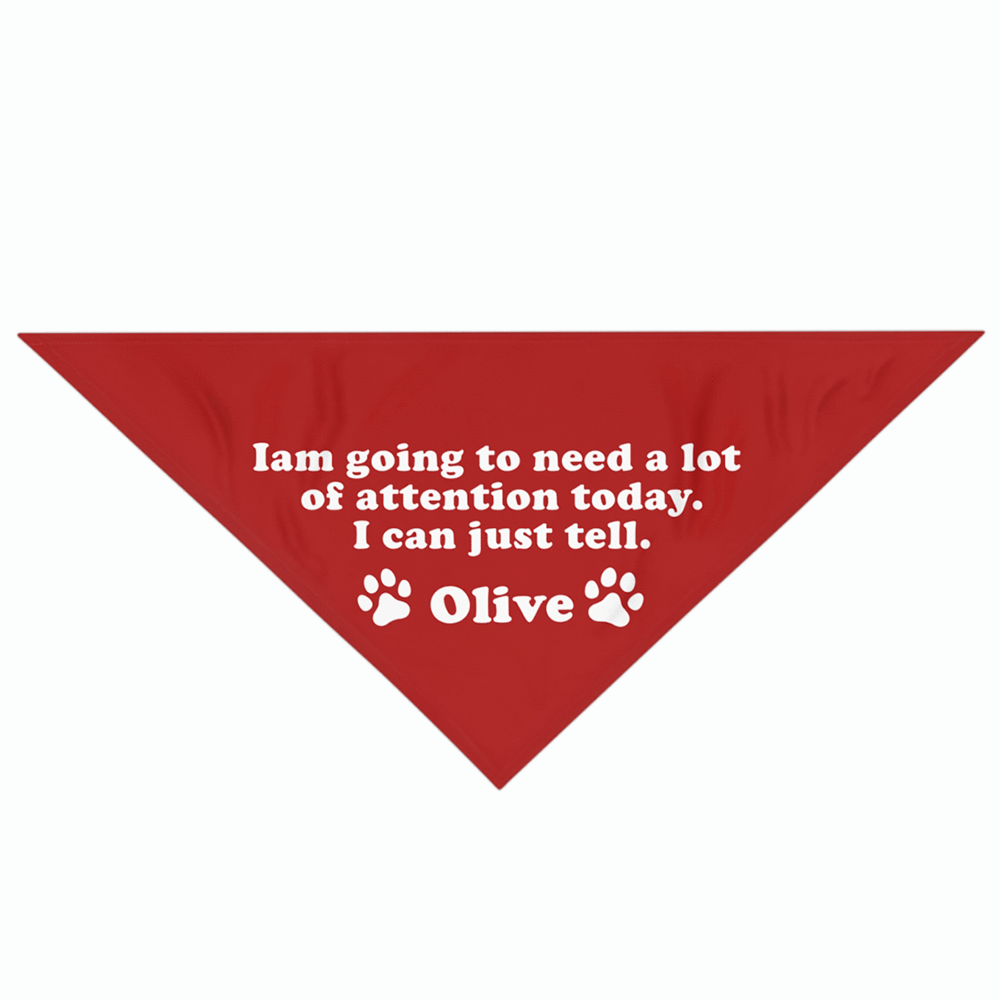 GeckoCustom Personalized Custom Dog Bandana, I'm Going To Need A Lot Of Attention, Dog Lover Gift