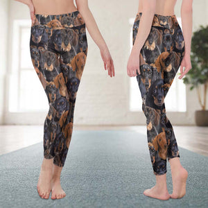 GeckoCustom Personalized Gift For Dog Lovers Women's High Waist Legging, HN590