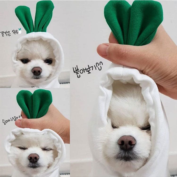 GeckoCustom Pet Clothes Dogs Hooded Sweatshirt Fruit Warm Coat Cat Sweater Cold Weather Costume for Puppy Small Medium Large Dog Cat Clothes 2 White / XS