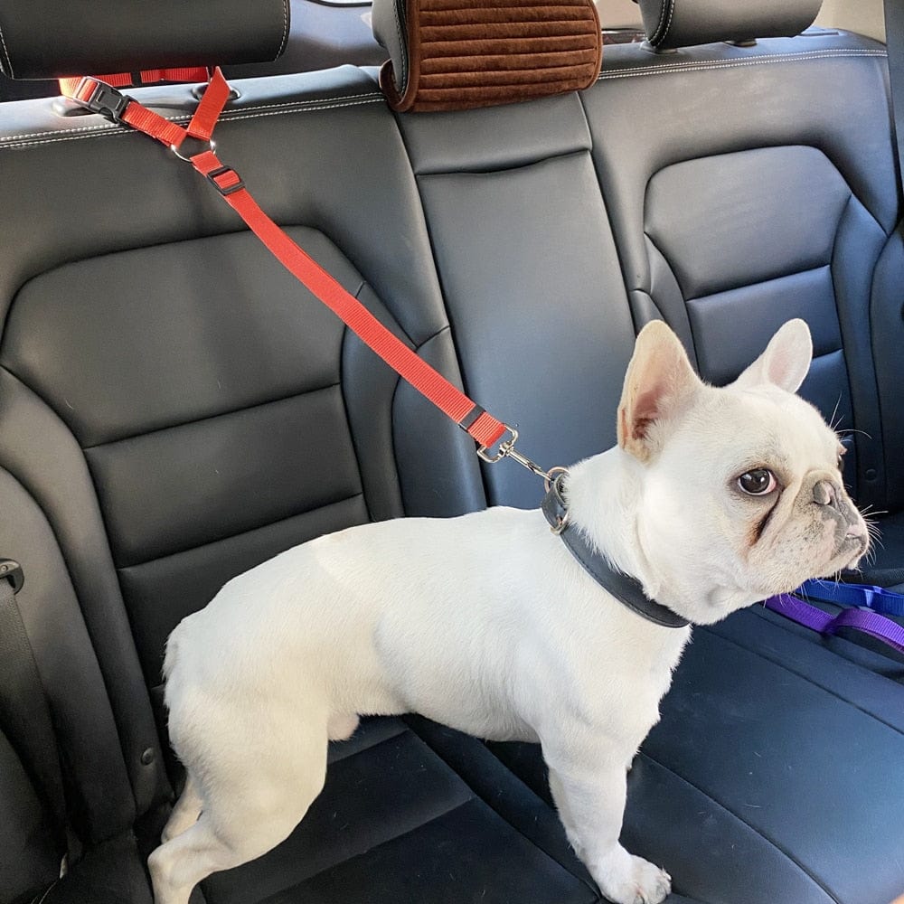 GeckoCustom Pet Dog Car Seat Belt Harness Restraint Lead