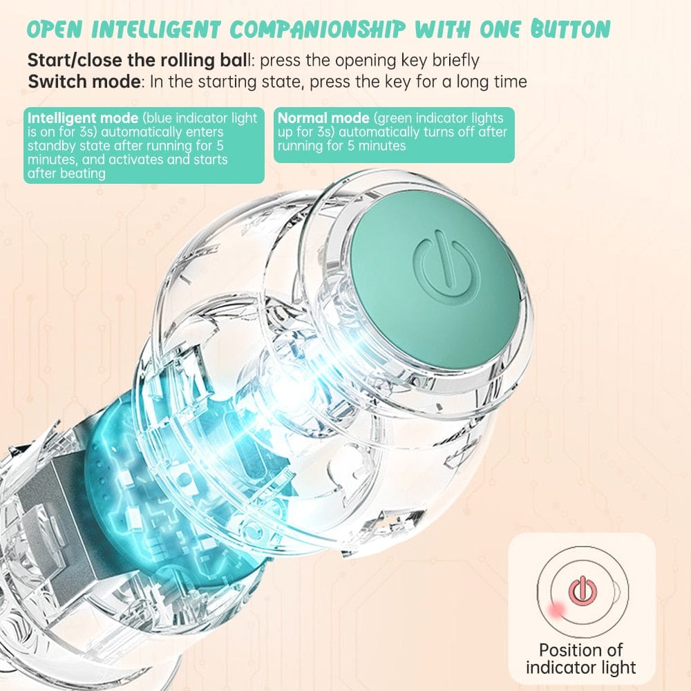 GeckoCustom Smart Automatic Rolling Cat Ball