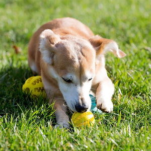 GeckoCustom Toys for Dogs Rubber Dog Ball for Puppy Funny Dog Toys for Pet Puppies Large Dogs Tooth Cleaning Snack Ball Toy for Pet Products