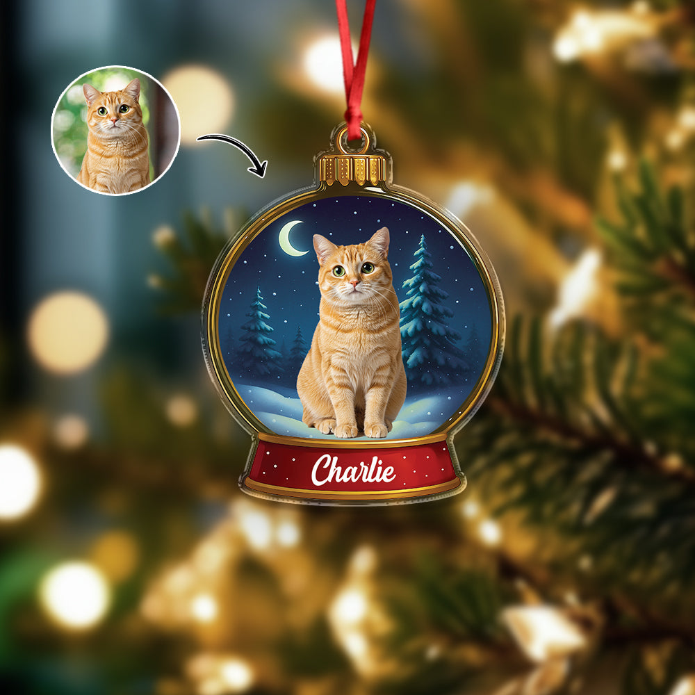 Custom Cat Photo Snow Globe With Name Acrylic Ornament Christmas Gift For Cat Lover CH07 896836