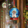 Custom Dog Photo Snow Globe With Name Acrylic Ornament Christmas Gift For Dog Lover CH07 896814
