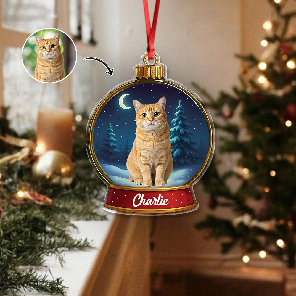 Custom Cat Photo Snow Globe With Name Acrylic Ornament Christmas Gift For Cat Lover CH07 896836