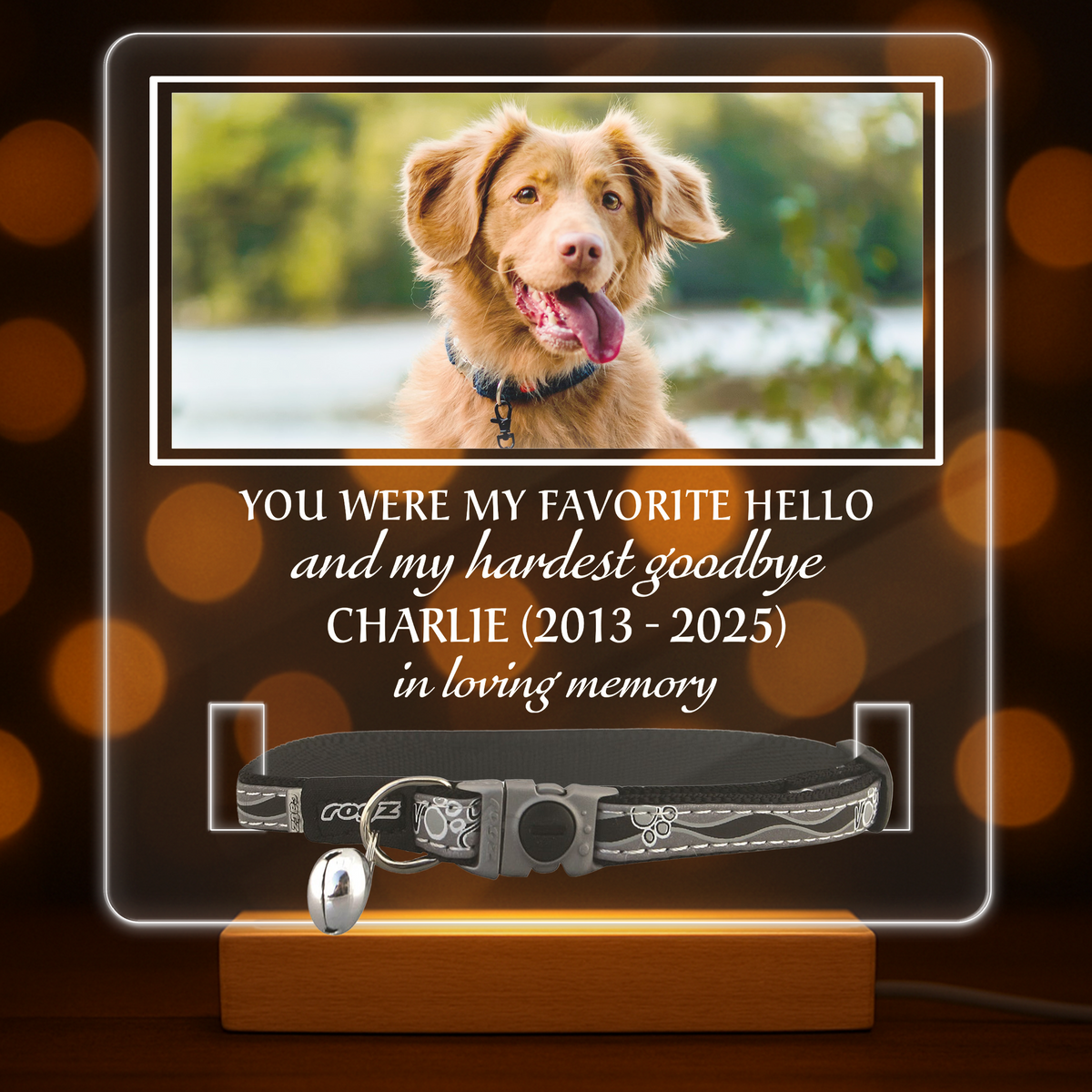 Custom Photo You Were My Favorite Hello Memorial Acrylic Collar Frame TH10 894095