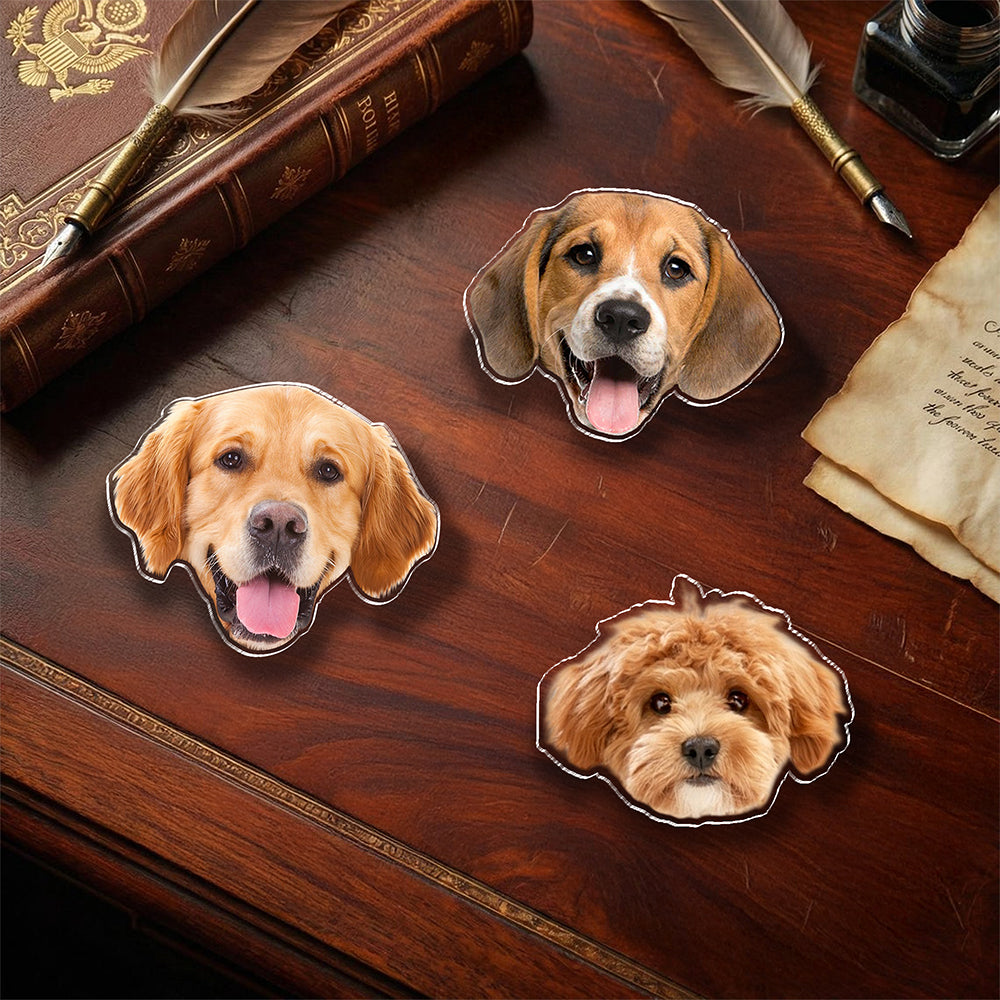Custom Face Dog Cat Acrylic Pin Gift For Dog Cat Lovers HA75 921062